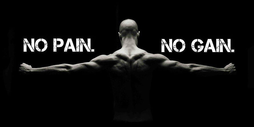Muscular Man Back View With No Pain No Gain Motivational Quote, No Pain, No Gain HD wallpaper