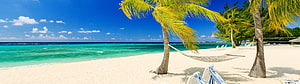 Tropical Beach Paradise With Hammock Under Palm Trees And Turquoise Ocean HD wallpaper