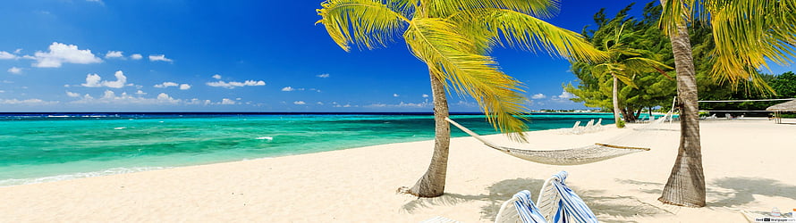 Tropical Beach Paradise With Hammock Under Palm Trees And Turquoise Ocean HD wallpaper