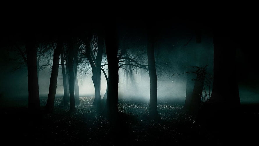 Dark and Mysterious Foggy Forest with Silhouetted Trees and Eerie Atmosphere HD wallpaper