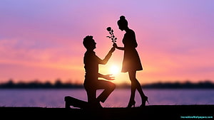 Silhouette of a man kneeling to propose to a woman with a rose against a vibrant sunset sky, Couple Love Proposal During Sunset, Couple Love Proposal, Love Proposal During Sunset, Love Proposal During Sunrise, Love Proposal In Sunset, Love Proposal In Sunrise, Boy Proposing Girl, Man Proposing Women, Love Proposing, propose couple HD wallpaper