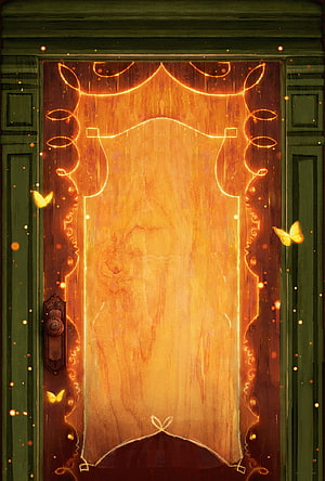 Mystical Glowing Wooden Door With Golden Light And Butterflies HD phone wallpaper