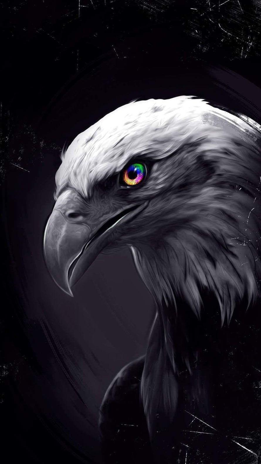 Bald Eagle Portrait With Rainbow Eye On Dark Background HD phone wallpaper