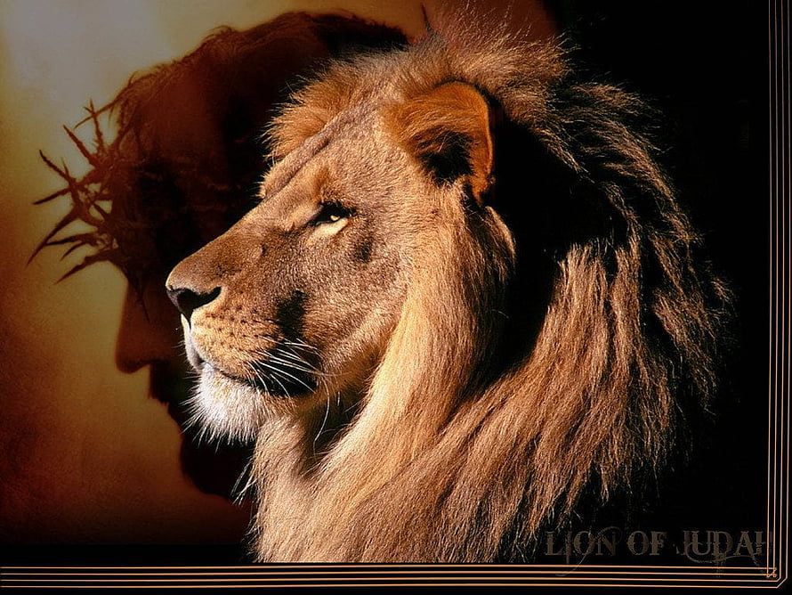 Lion of Judah Profile with Crown of Thorns Silhouette and Dramatic Warm Lighting HD wallpaper