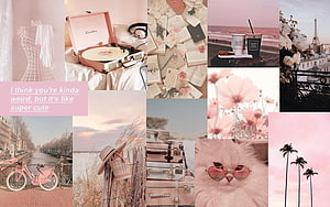 Pastel Pink Aesthetic Mood Board With Vintage Items, Flowers, and Parisian Scenery HD wallpaper