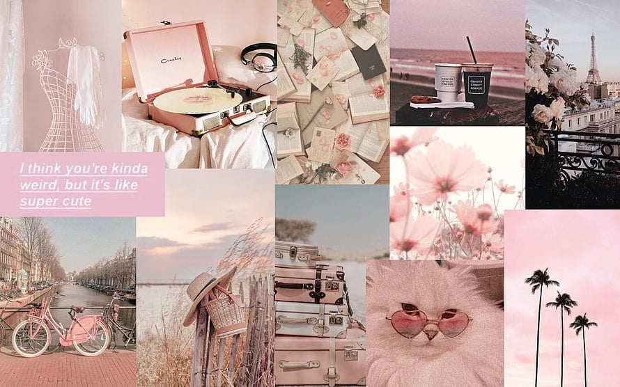 Pastel Pink Aesthetic Mood Board With Vintage Items, Flowers, and Parisian Scenery HD wallpaper