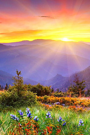 Sunset Over Mountain Ranges With Purple Haze And Wildflowers HD phone wallpaper