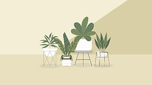 Minimalist Flat Illustration of Potted Houseplants on Geometric Stands HD wallpaper