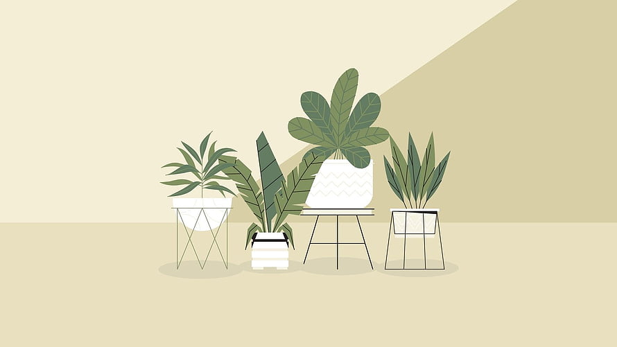 Minimalist Flat Illustration of Potted Houseplants on Geometric Stands HD wallpaper