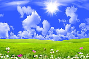 Vibrant Green Rolling Hills Under Bright Blue Sky With Fluffy Clouds And Wildflowers HD wallpaper