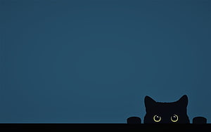Minimalist Black Cat Peeking Over Edge With Glowing Yellow Eyes on Dark Blue Background HD wallpaper