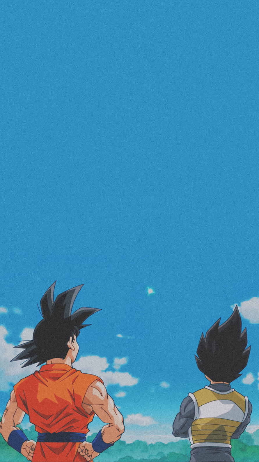 Goku and Vegeta Looking Up at the Sky Anime Wallpaper HD phone wallpaper