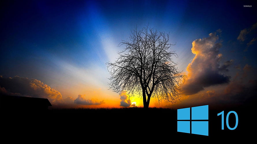 Windows 10 Desktop Wallpaper Featuring Silhouetted Tree Against Dramatic Sunset Sky HD wallpaper