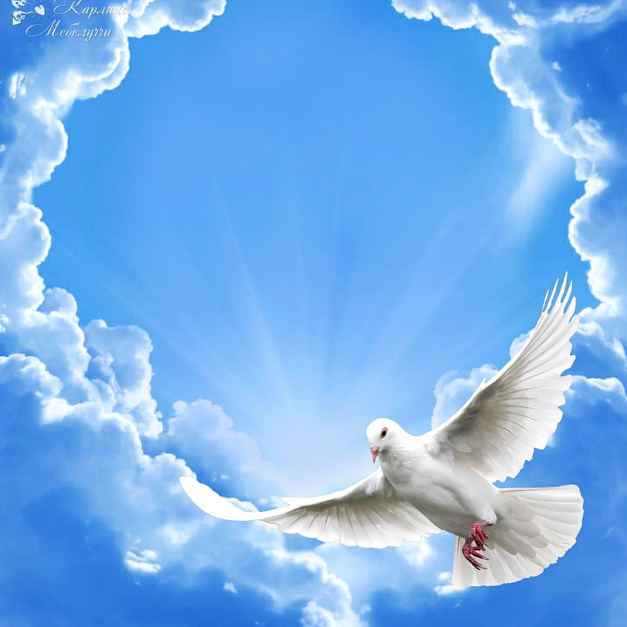 White Dove in Flight Against a Bright Blue Sky with Radiant Sunbeams and Fluffy Clouds HD phone wallpaper