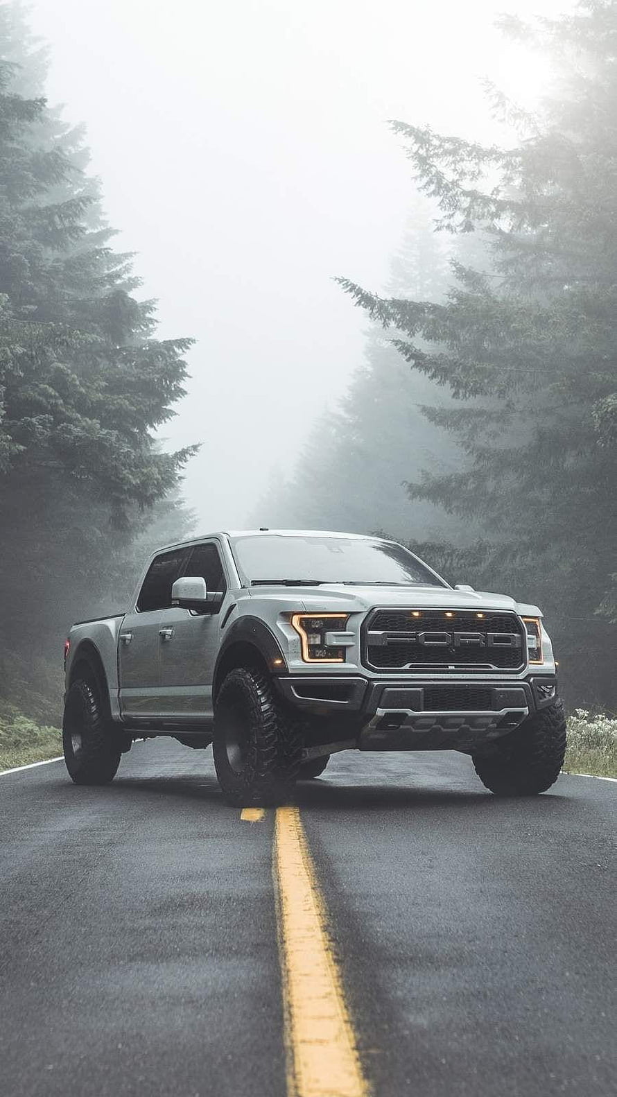 Silver Ford F-150 Raptor Truck on a Misty Forest Road HD phone wallpaper