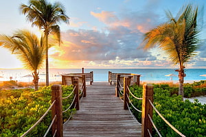 Tropical Beach Boardwalk at Sunset with Palm Trees and Ocean View HD wallpaper