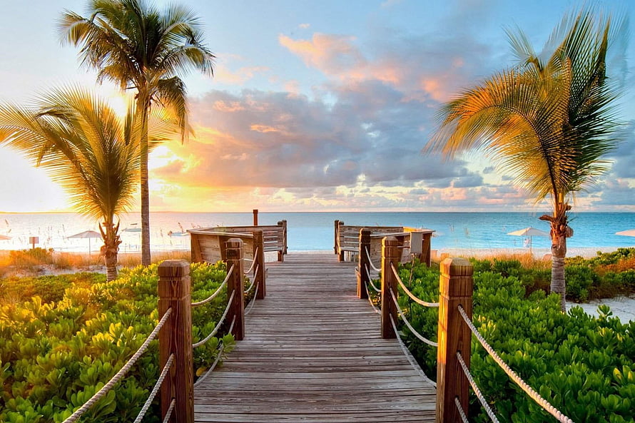 Tropical Beach Boardwalk at Sunset with Palm Trees and Ocean View HD wallpaper