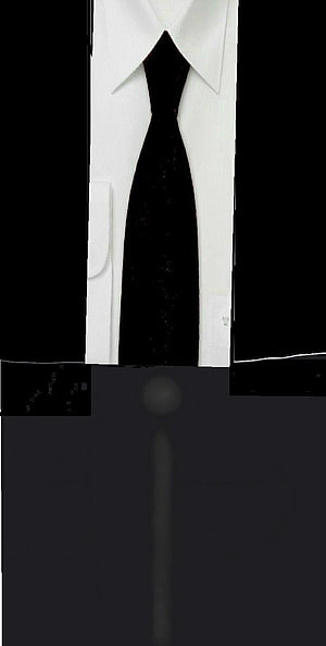 Elegant Roblox Male Avatar Wearing a White Dress Shirt and Black Tie HD phone wallpaper