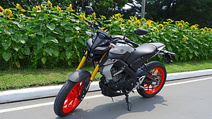 Yamaha MT-15 motorcycle with red wheels parked on road near sunflowers HD wallpaper