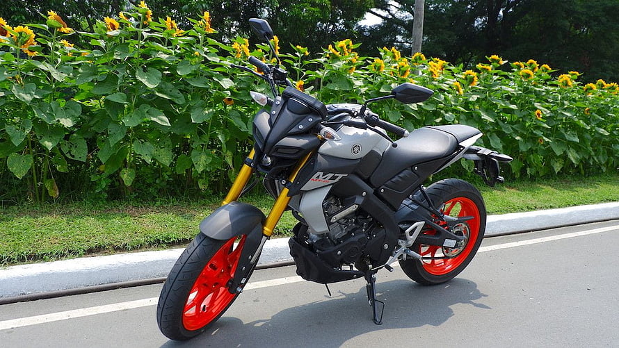 Yamaha MT-15 motorcycle with red wheels parked on road near sunflowers HD wallpaper