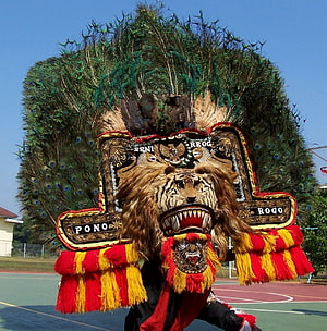 Traditional Reog Ponorogo Tiger Dance Costume with Peacock Feather Headdress HD phone wallpaper