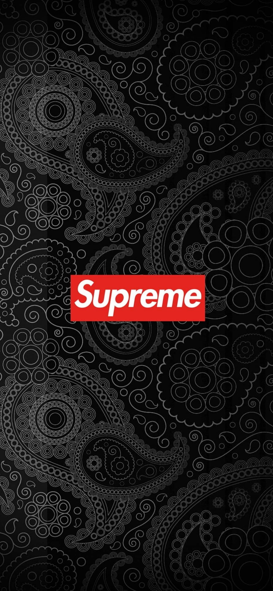 Supreme Logo on Black Paisley Pattern Background HD phone wallpaper