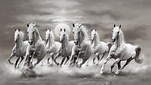 Dynamic Herd of White Horses Galloping Through Misty Landscape HD wallpaper
