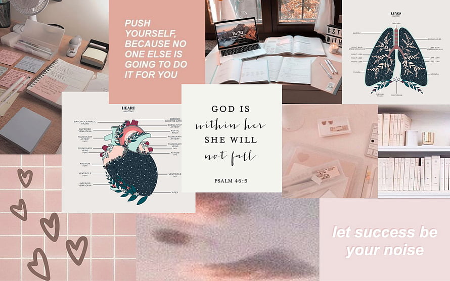 Blush Pink Study Aesthetic Collage with Anatomical Heart and Lungs Diagrams HD wallpaper