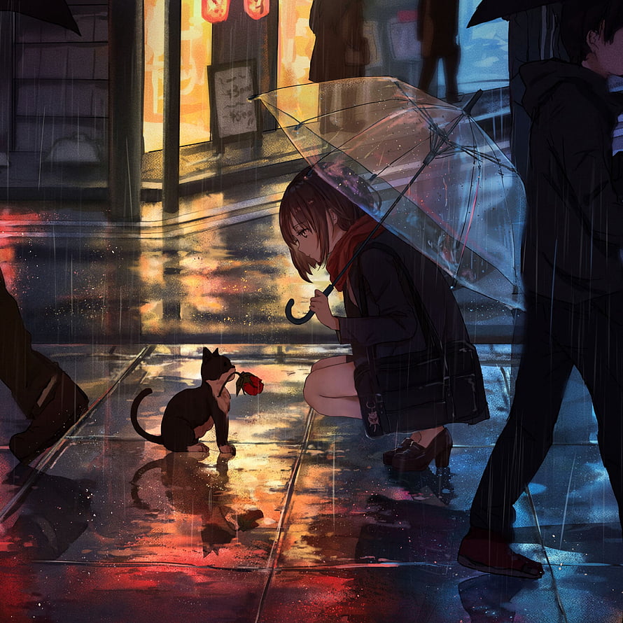 Anime Girl With Transparent Umbrella Offering A Rose To A Kitten On A Rainy City Street HD phone wallpaper