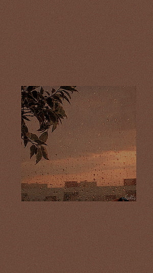 Muted Brown Aesthetic Wallpaper with Rainy Window View and Silhouetted Leaves HD phone wallpaper
