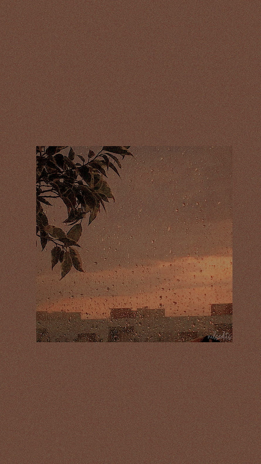 Muted Brown Aesthetic Wallpaper with Rainy Window View and Silhouetted Leaves HD phone wallpaper