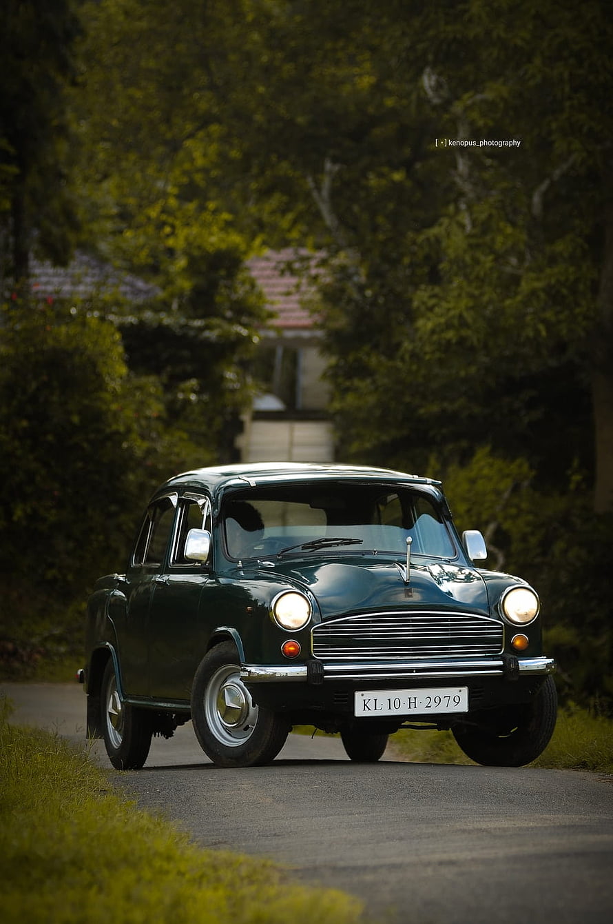 Classic Green Ambassador Car Driving on a Scenic Tree-Lined Road HD phone wallpaper