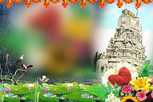 Romantic Wedding Collage Featuring Temple, Lotus Pond, Birds, and Vibrant Floral Arrangement HD wallpaper