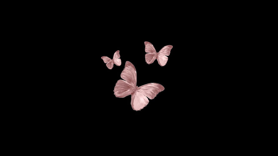 Elegant Pink Butterflies Flying on Black Background HD wallpaper