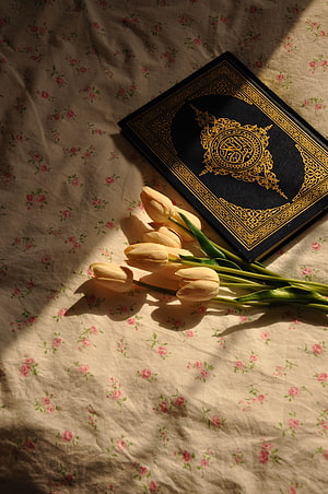 Holy Quran with Gold Embossing Resting on Floral Linen with Cream Tulips in Warm Sunlight HD phone wallpaper