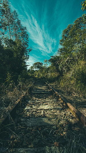 Abandoned Railway Tracks Overgrown With Nature Under A Vibrant Teal Sky HD phone wallpaper