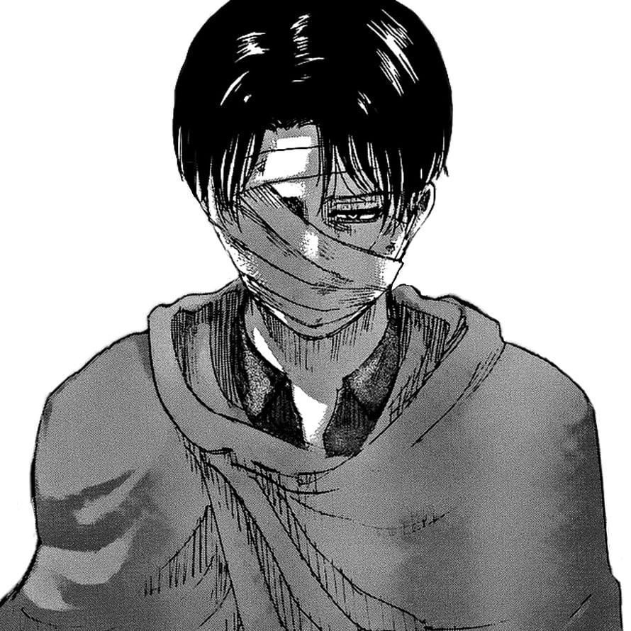 Levi Ackerman Bandaged Face Black and White Manga Portrait, The Best 16 Aot Levi Manga Icon, #manga icon HD phone wallpaper
