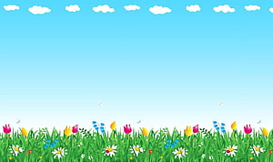 Colorful Spring Meadow With Tulips And Daisies Under Blue Sky HD wallpaper