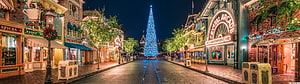 Main Street Christmas Night at Disney World with Glowing Blue Tree and Holiday Decorations HD wallpaper