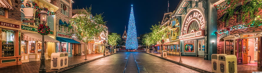 Main Street Christmas Night at Disney World with Glowing Blue Tree and Holiday Decorations HD wallpaper