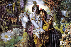 Radha and Krishna Sitting Together in a Lush Forest with a White Cow and Peacocks HD wallpaper