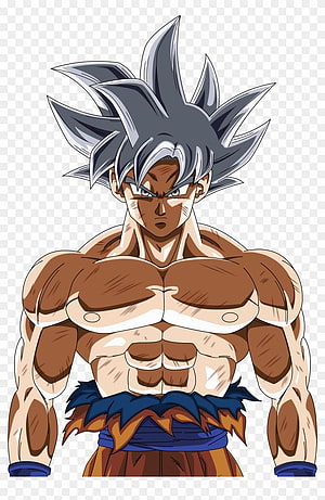 Dragon Ball Super Goku Ultra Instinct Mastered Anime Character Illustration HD phone wallpaper