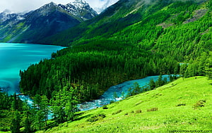 Alpine Lake and Turquoise River Valley Surrounded by Lush Green Forests and Snow-Capped Peaks HD wallpaper