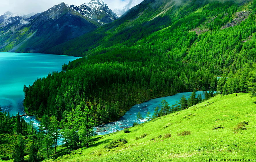 Alpine Lake and Turquoise River Valley Surrounded by Lush Green Forests and Snow-Capped Peaks HD wallpaper