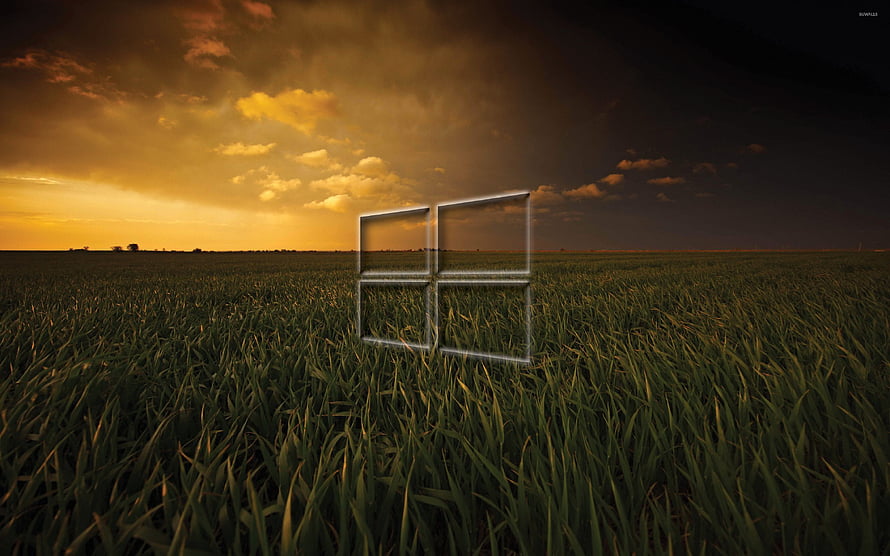 Windows 10 Default Grass Field Wallpaper with Golden Sunset Sky HD wallpaper