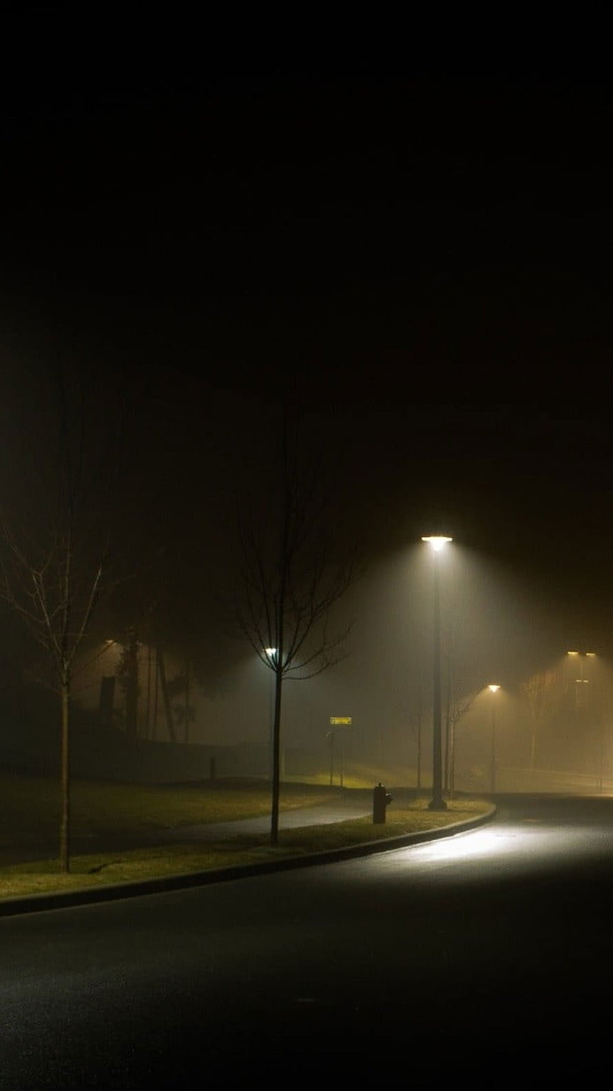 Foggy Street at Night with Glowing Streetlights and Bare Trees HD phone wallpaper