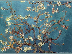 Almond Blossom by Vincent van Gogh - Classic Post-Impressionist Art Wallpaper HD wallpaper