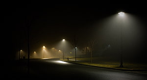 Foggy Night Street Scene With Glowing Streetlights And Bare Trees HD wallpaper