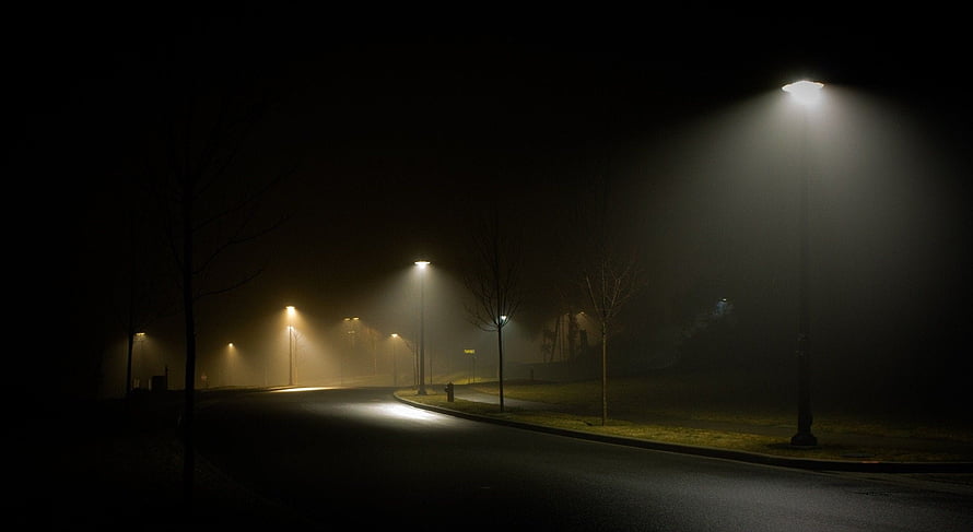 Foggy Night Street Scene With Glowing Streetlights And Bare Trees HD wallpaper