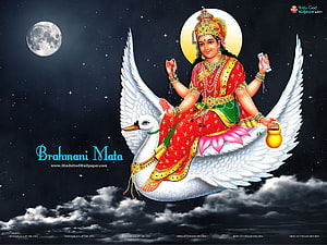 Brahmani Mata Riding a White Swan in a Starry Night Sky with Full Moon HD wallpaper